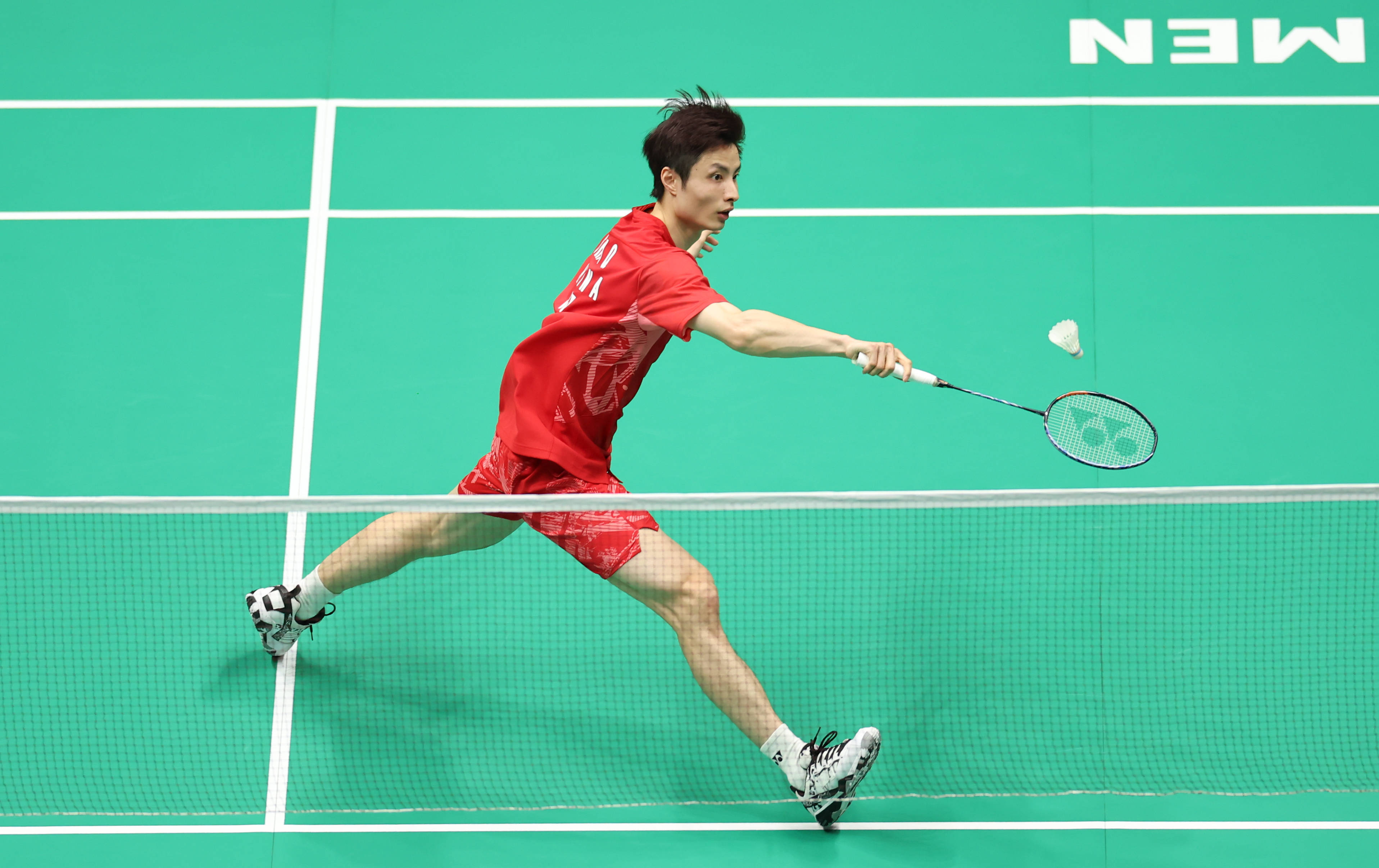 的再度增长 的再度增长